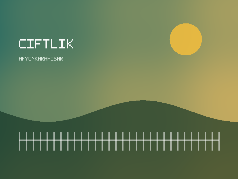 Akkaraman kurbanlık koyun fotograf